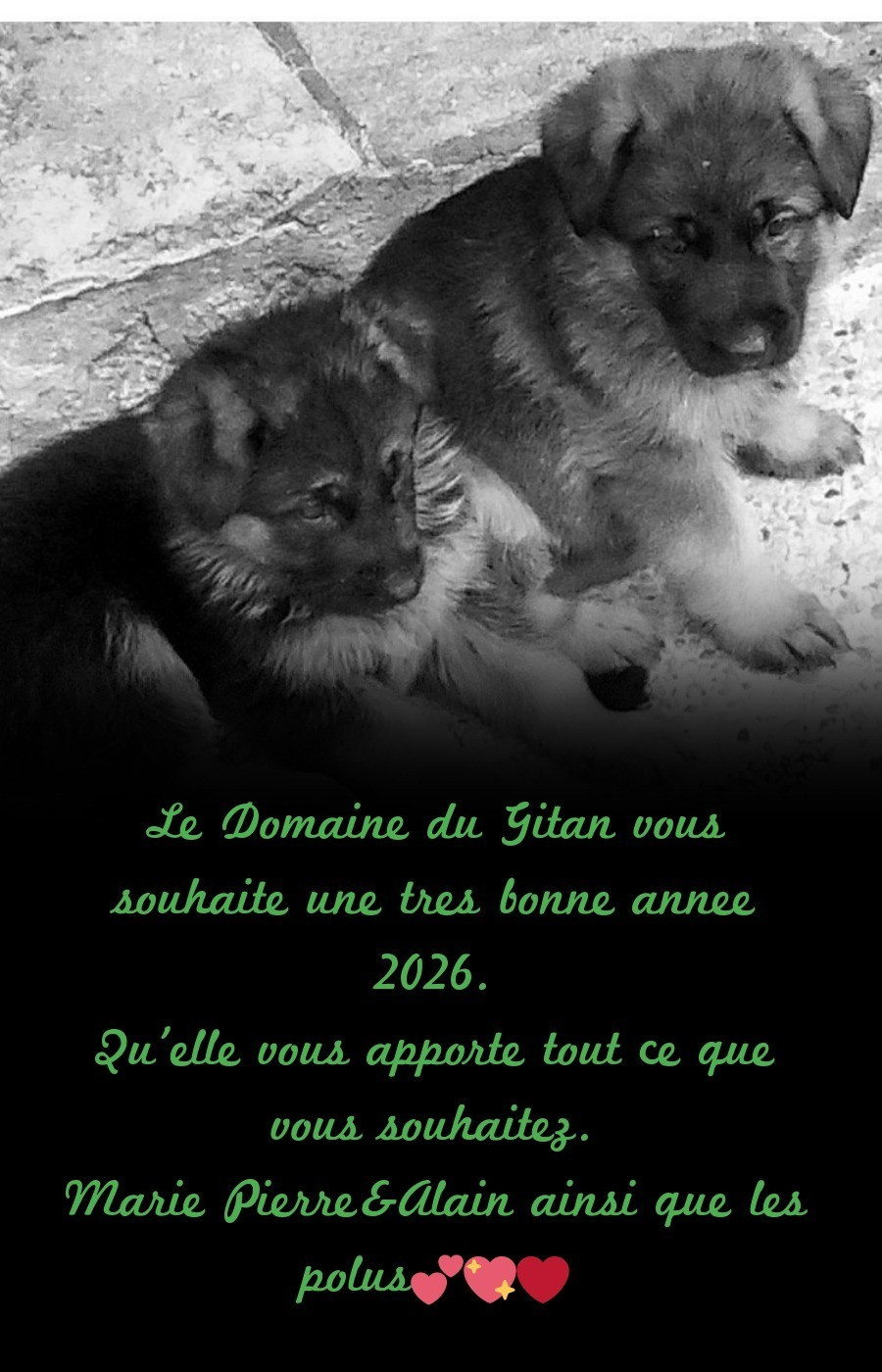 Tous nos meilleurs v ux