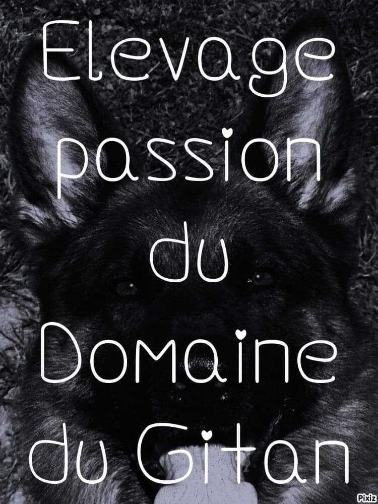 Du Domaine Du Gitan - Petite visite