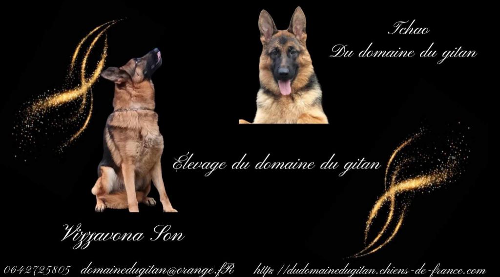 Des petits loups pour le 27 avril