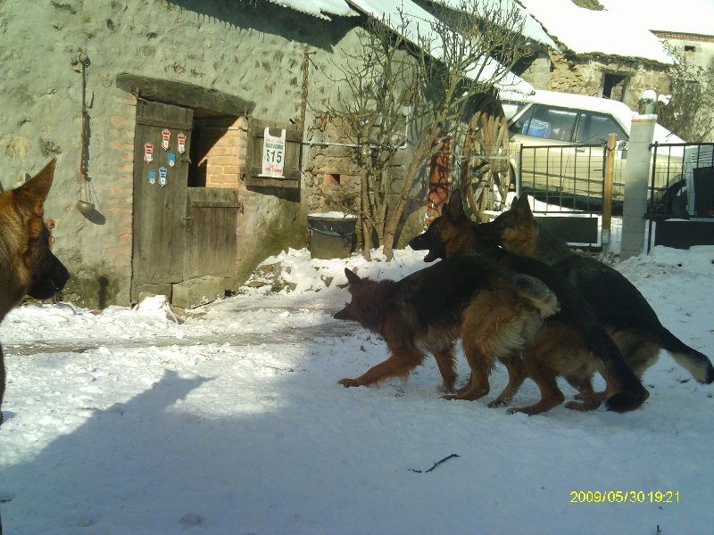 vive la neige!!!
